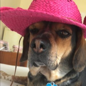 Meet your Posher, Jenna